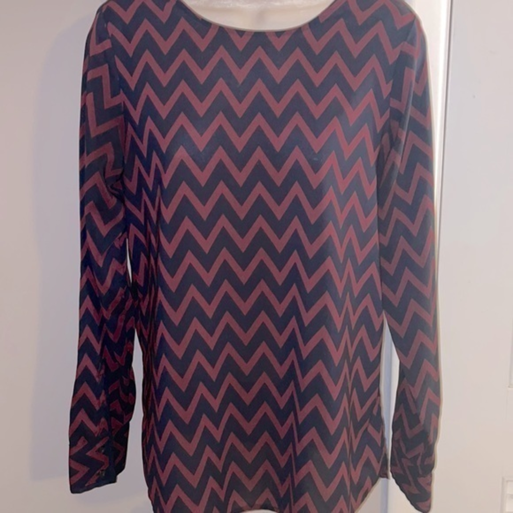 The Limited Blouse